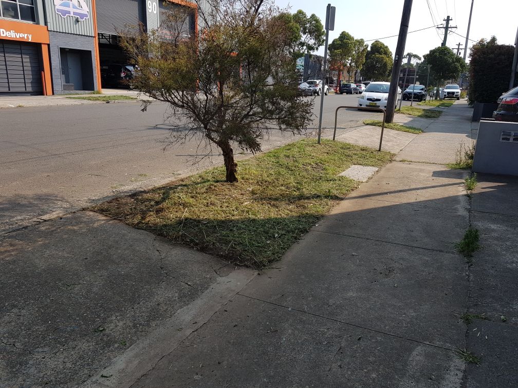 cleaning Chatswood