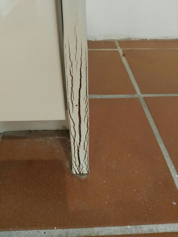 cleaning Artarmon