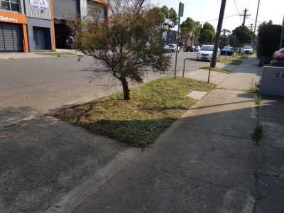 cleaning Chatswood